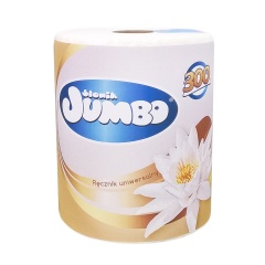 SŁONIK JUMBO Ręcznik papierowy 300 listków 2-warstwowy