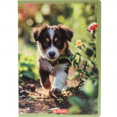 Zeszyt Herlitz A4 32 kratka Animals