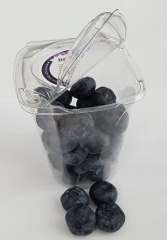 Borówka amerykańska 225g shaker 