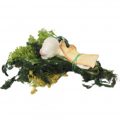 Zaprawa do ogórków-polska 