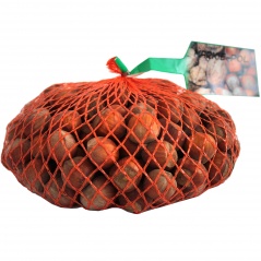 Orzech laskowy łupina-Polska 