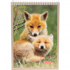 Herlitz Kołonotatnik 40 A6KR animals