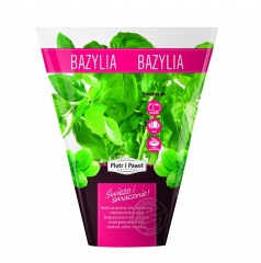 Bazylia Piotr i Paweł 