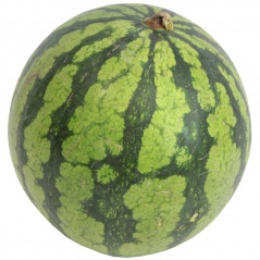 Arbuz czerwony mini-hiszpania 