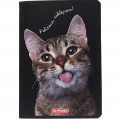 Zeszyt Herlitz a5 60k linia crazy animal 