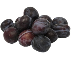 Śliwka czerwona duża luz 