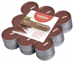 Podgrzewacz Bolsius true scents a`18 stare drzewo 4h 