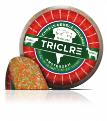 Ser 3 kolory cheese rebelz 