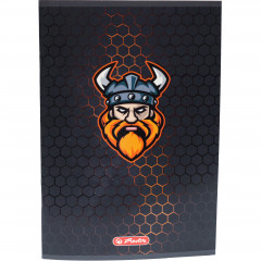 Zeszyt herlitz a5 60k linia game avatars 1szt 