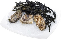 Ostrygi świeże szt. 