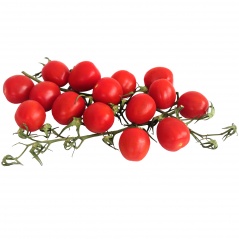 Pomidor czerwony koktajlowy 