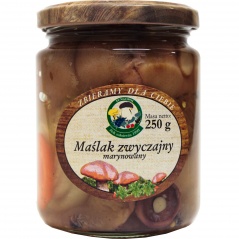 Maślak marynowany 