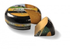 Ser gouda holenderska old polderkas jansen 