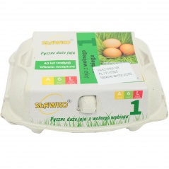 Jaja z chowu na wolnym wybiegu l 