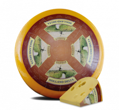 Ser Maasdam Holland delta 