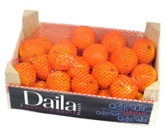 Mandarynka klatka - Hiszpania 