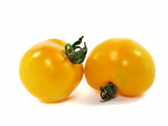 Pomidor żółty kg 