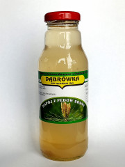 Napój niegazowany Dąbrówka z pędów sosny 300 ml 