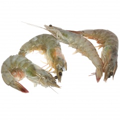 Krewetki całe surowe 