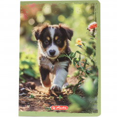 Zeszyt Herlitz animals a5/16k kratka kolorowa 