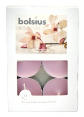 Podgrzewacz zapach magnolia 6szt/op 