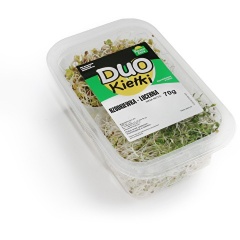 Duo kiełki rzodkiewka i lucerna 