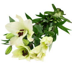 Kwiat Lilia bukiet 1szt 