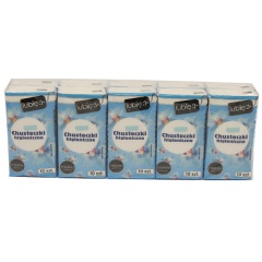 Chusteczki higieniczne 2w lubię:)/10*10szt 