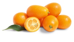 Kumquat 