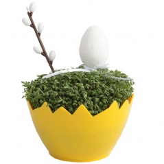 Rzeżucha w skorupce z dekoracją 