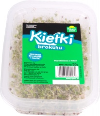 Kiełki brokułu 