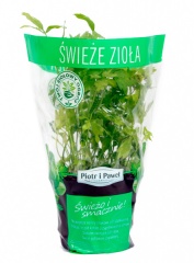 Lubczyk Piotr i Paweł 