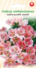 Godecja wielokwiatowa ( nasiona ) 