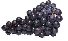 Winogrono ciemne 