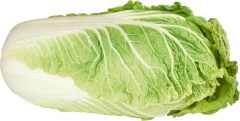 Kapusta pekińska 