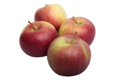 Jabłka Jonagored 