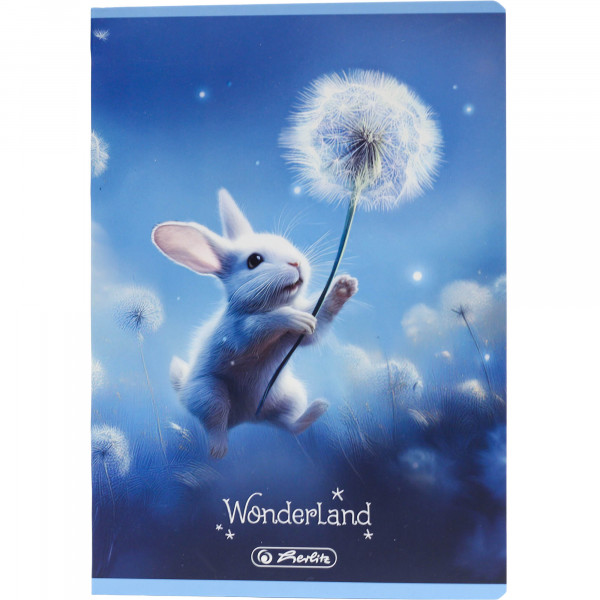 Zeszyt Herlitz Wonderland A5 16k linia podwójna kolorowa