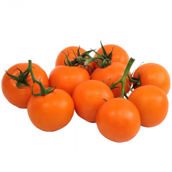 Pomidor pomarańczowy gałązka 