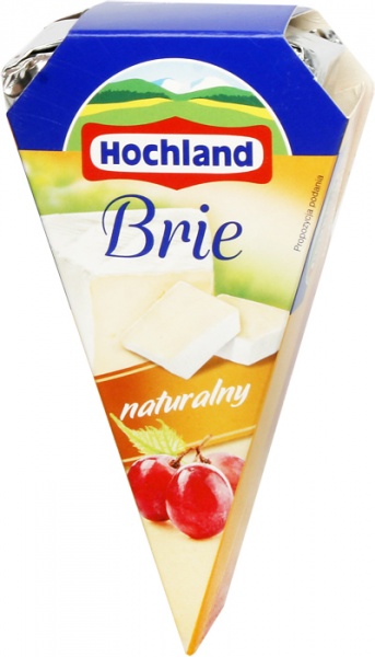 Ser Hochland Brie naturalny 