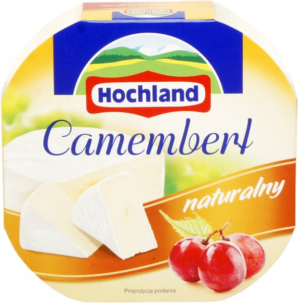 Ser Hochland Camembert naturalny 