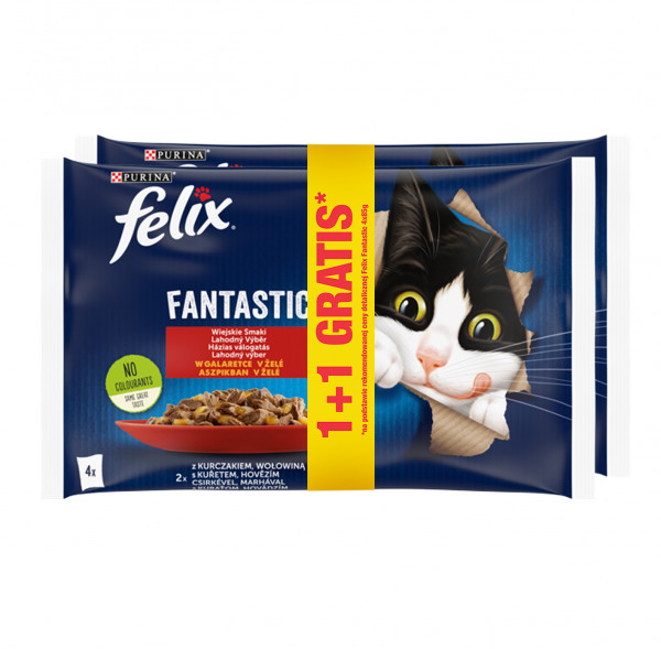 Karma dla kota Felix Fantastic kurcz-wołow w galar 2x(4x85g) 