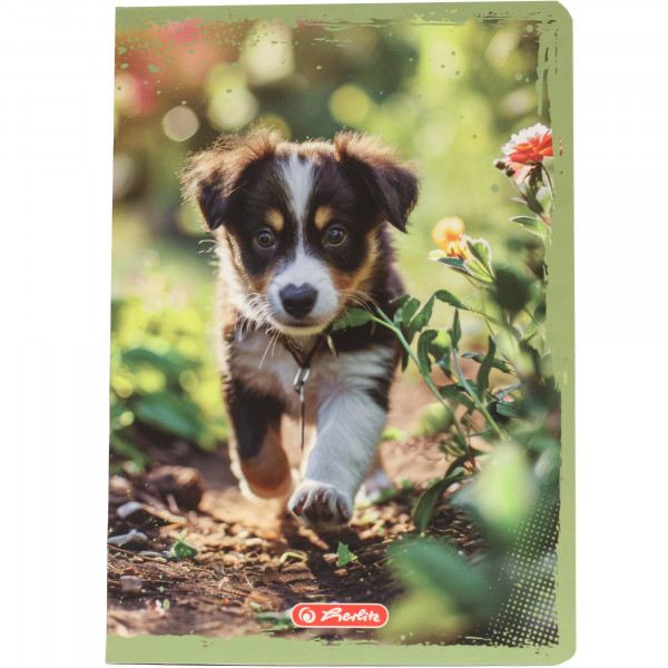 Zeszyt Herlitz animals a5/16k kratka kolorowa 