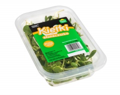 Kiełki słonecznika 