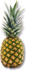 Ananas 
