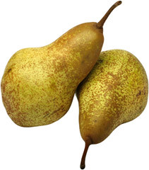 Gruszka zielona Konferencja 