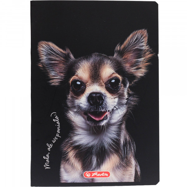Zeszyt Herlitz a5 60k linia crazy animal 