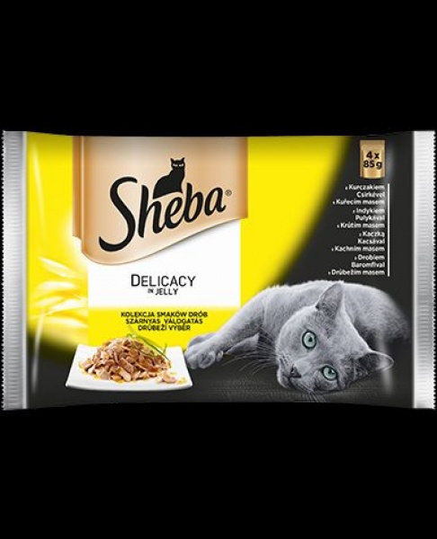 Sheba Delicacy in Jelly Drobiowe Smaki 4*85g