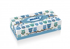 MOLA CHUSTECZKI FLATBOX kartonik 2 warst. 70 sztuk